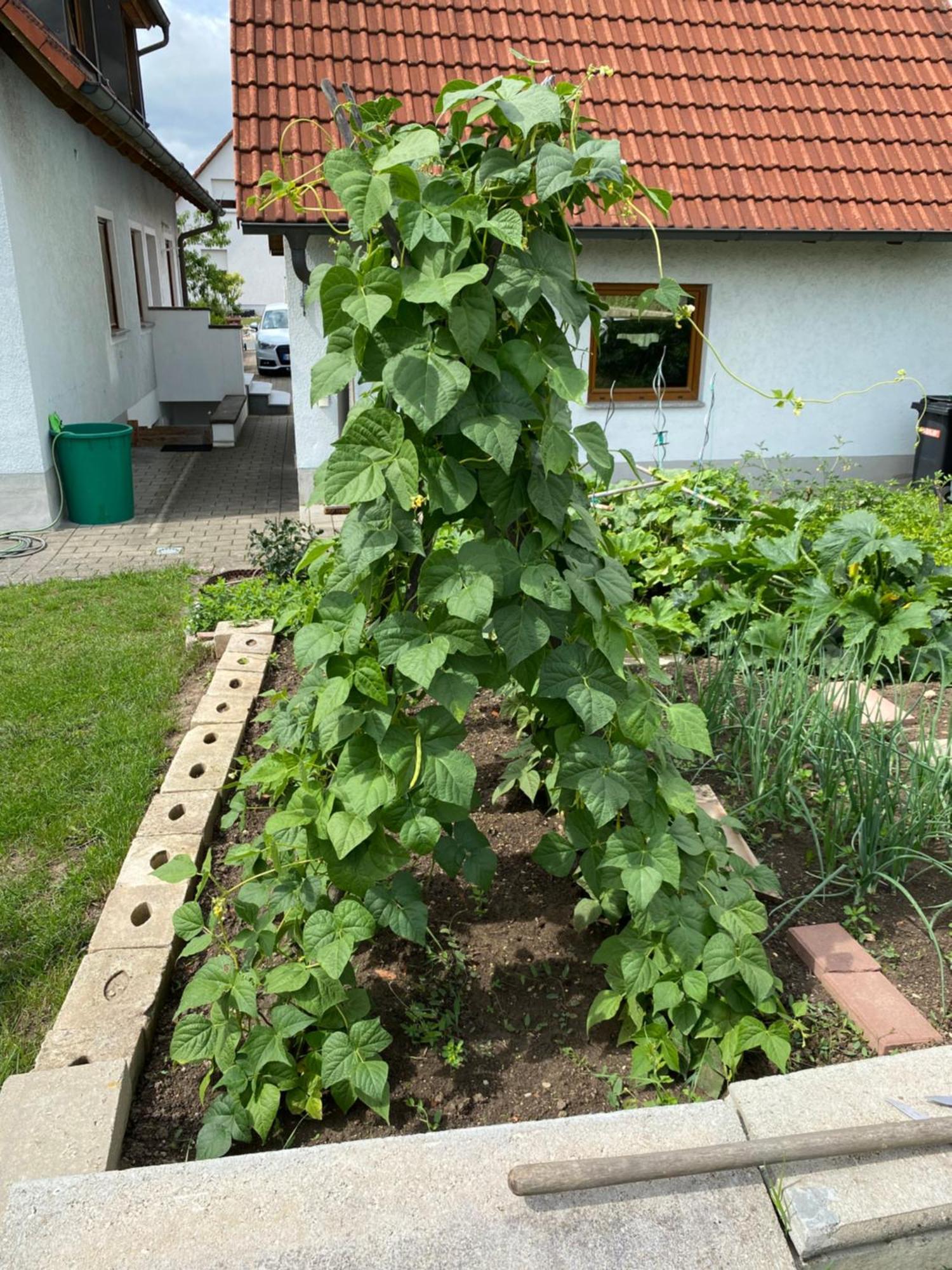 Ferienwohnung Eibenweg Gebsattel Exteriér fotografie